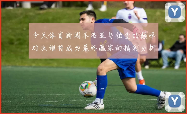 今天体育新闻禾洛亚与铂金的巅峰对决谁将成为最终赢家的精彩分析与预测